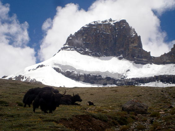 Трекове в Ладак, Индийски Хималаи - Вълшебния Керван